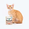 Schesir 55% Tuna with Salmon Wet Cat Food Pouch, 50 Gms