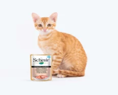 Schesir 55% Tuna with Salmon Wet Cat Food Pouch, 50 Gms at ithinkpets.com (2)