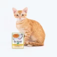 Schesir Pink Salmon And Carrots Wild Soup For Kitten & Adult Cats, 85 Gms