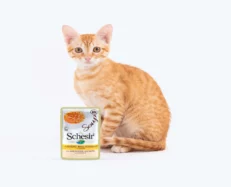 Schesir Pink Salmon And Carrots Wild Soup For Kitten & Adult Cats, 85 Gms at ithinkpets.com (2)