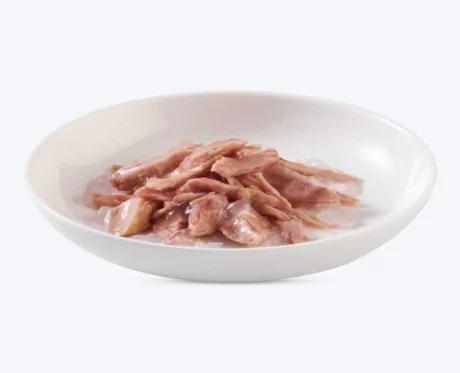 Schesir Tuna Kitten Wet Food, 85 Gms at ithinkpets.com (2)