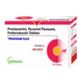 Vetoquinol Prazisam Plus Dewormer for Dogs, 2 Tablets