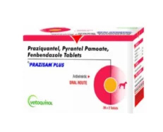 Vetoquinol Prazisam Plus Dewormer for Dogs, 2 Tablets at ithinkpets.com (2) (1)