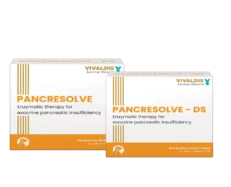 Vivaldis Pancresolve DS Tablets for Dogs and Cats at ithinkpets.com