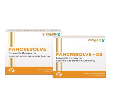 Vivaldis Pancresolve DS Tablets for Dogs and Cats at ithinkpets.com