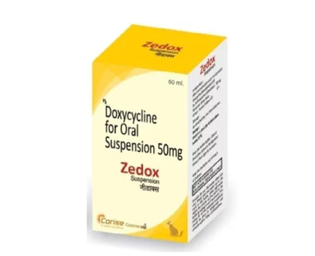 Corise Zedox Suspension (Doxycycline) for Dogs & Cats, 60 ML at ithinkpets.com (2) (1)