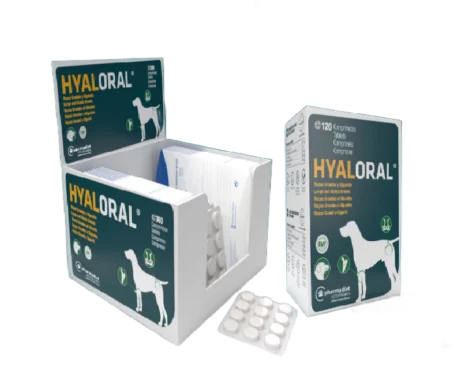 Hyaloral Large and Giant breeds for Dogs at ithinkpets.com (1)