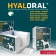 Hyaloral Large and Giant Breeds Tablets for Dogs