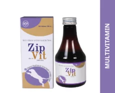 Intas Zipvit Multi Vitamin Supplement for Dogs and Cats, 200 ML at ithinkpets.com (1) (1)