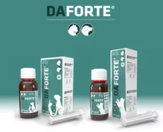 Pharmadiet DAFORTE Suspension for Dogs & Cats, 50 ML at ithinkpets.com (2)