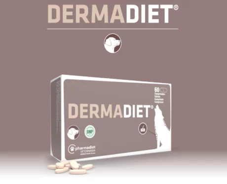 Pharmadiet Dermadiet for Dogs, 60 Tablets at ithinkpets.com (2)