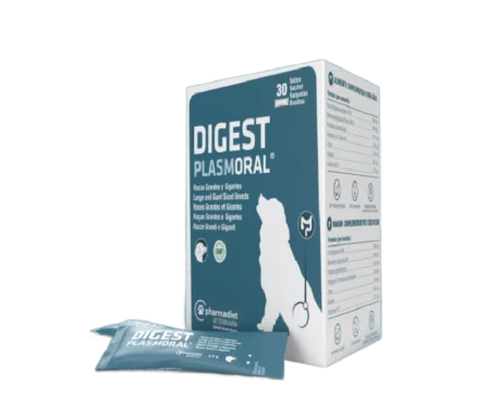 Pharmadiet Digest Plasmoral for Large and Giant breed Dogs, 30 Sachets at ithinkpets.com (1)