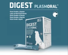 Pharmadiet Digest Plasmoral for Large and Giant breed Dogs, 30 Sachets at ithinkpets.com (2)