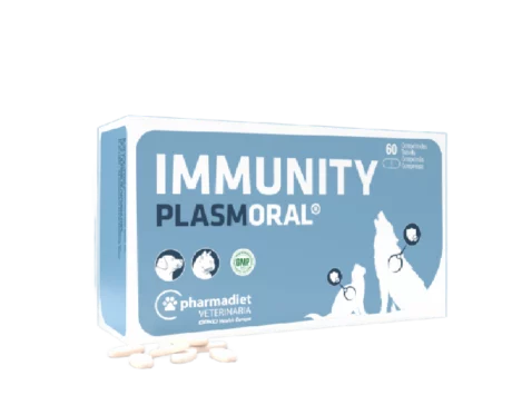 Pharmadiet Immunity Plasmoral for Dogs & Cats, 60 Tablets at ithinkpets.com (1)
