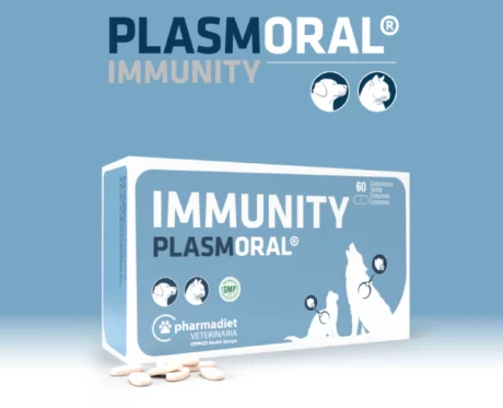 Pharmadiet Immunity Plasmoral for Dogs & Cats, 60 Tablets at ithinkpets.com (2)