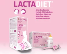 Pharmadiet Lactadiet Cats with Colostrum, Milk Replacer, 40 Sachets at ithinkpets.com (2)