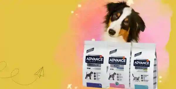 Affinity Advance Pet Food @ithinkpets.com