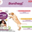 Aimil Boniheal Pet Liquid for Dogs & Cats, 200 ML