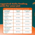 Himalaya Chicken & Pumpkin Adult Dog Dry Food, 10 KG