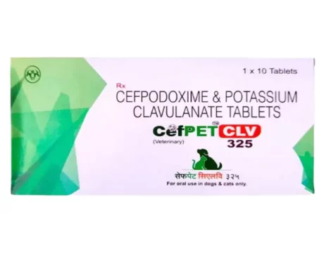 Intas Cefpet CLV 325 Tablets for Dogs and Cats at ithinkpets.com (2)