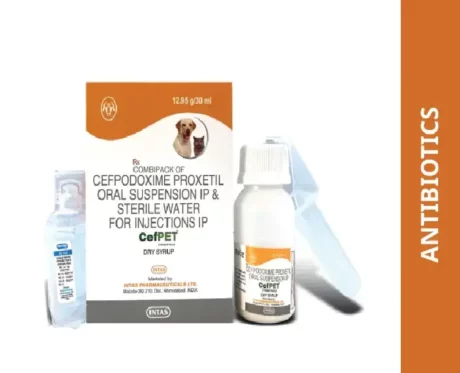 Intas Cefpet Dry Syrup for Dogs and Cats, 30 ML at ithinkpets.com (1) (1)