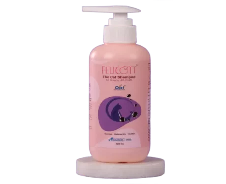 Intas Felicott Cat Shampoo, 200 ML at ithinkpets.com (1)