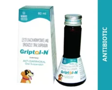 Intas Griptol N Syrup for Dogs, 60 ML at ithinkpets.com (1) (1)