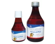 Intas Intacal Pet Calcium Supplement for Dogs and Cats at ithinkpets.com (2)