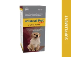 Intas Intacal Pet Max for Dogs and Cats, 250 ML at ithinkpets.com (1) (1)