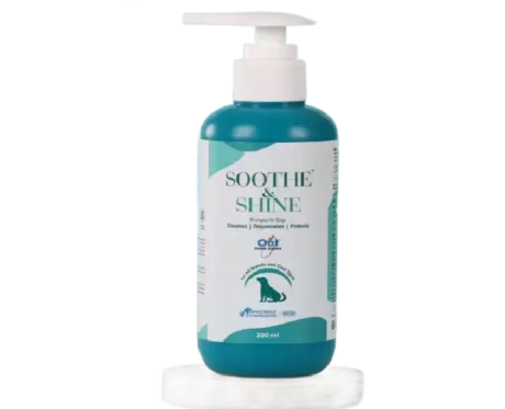 Intas Soothe & Shine Shampoo for Dogs, 200 ML at ithinkpets.com (1) (2)