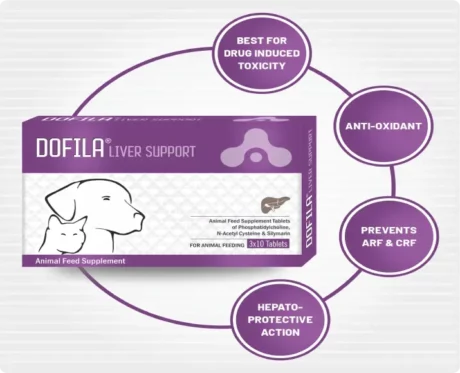 Aranex Dofila Liver Support Tablet, 30 Tablets at ithinkpets.com (2)