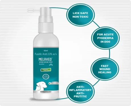 Aranex Melaved Wound Healing Spray, 60 ML at ithinkpets.com (2)