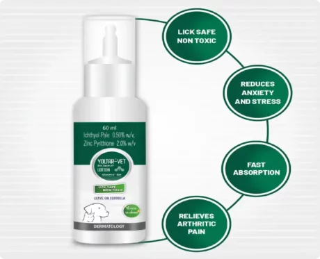 Aranex Yoltar Vet Anti dandruff Lotion, 60 ML at ithinkpets.com (2)