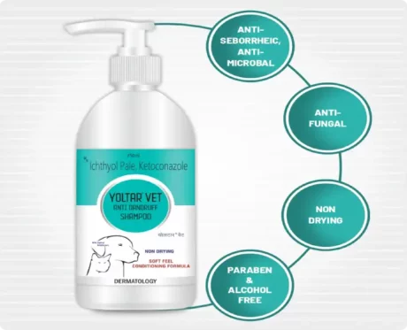Aranex Yoltar Vet Anti-dandruff Shampoo, 250 ML at ithinkpets.com (2)