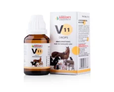 Bakson Veterinary V11 Rheumatism Drops for Joint Pain, 30 ML at ithinkpets.com (1)