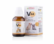 Bakson Veterinary V44 Epilepsy Drops, 30 ML (1)