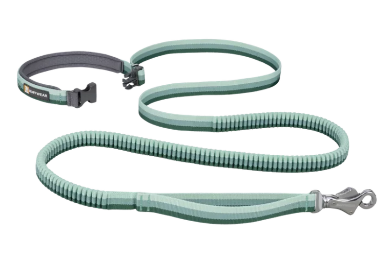 RoamerLeash_RiverRockGreen_at ithinkpets