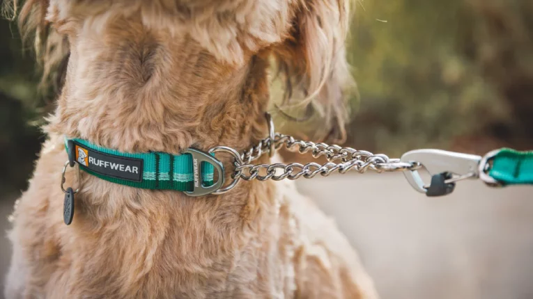 Ruffwear Chain Reaction Martingale Dog Collar at ithinkpets (1)
