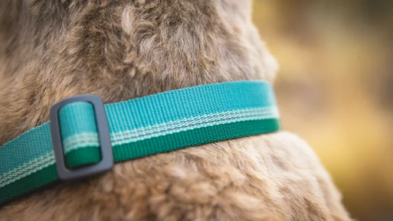 Ruffwear Chain Reaction Martingale Dog Collar at ithinkpets (2)