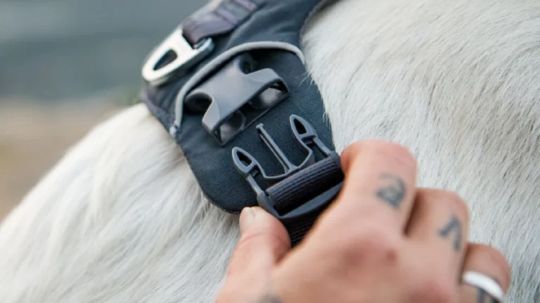 Ruffwear Front Range Dog Harness Blue Pool at ithinkpets (3)