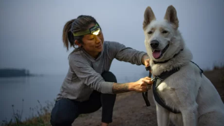 Ruffwear Front Range Dog Harness Blue Pool at ithinkpets