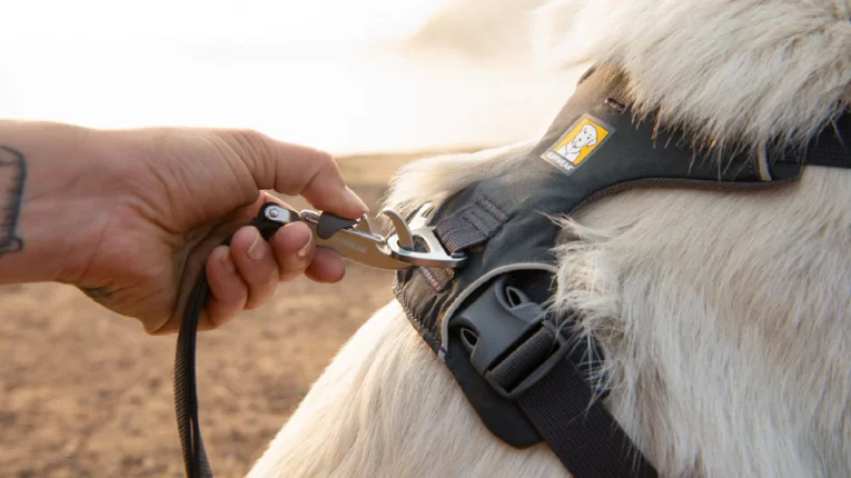 Ruffwear Front Range Dog Harness Blue Pool at ithinkpets (5)