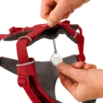 Ruffwear Front Range Dog Harness Red Canyon, Reflective and Padded Harness for Training and Everyday Wear