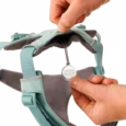 Ruffwear Front Range Dog Harness River Rock Green, Reflective and Padded Harness for Training and Everyday Wear