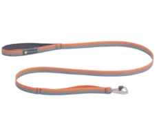 Ruffwear Front Range Dog Leash Spring Fade at ithinkpets