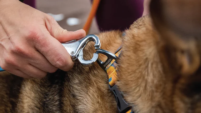 Ruffwear Roamer Bungee Dog leash at ithinkpets (2)
