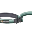 Ruffwear Roamer Bungee Leash River Rock Green, Dog Leash