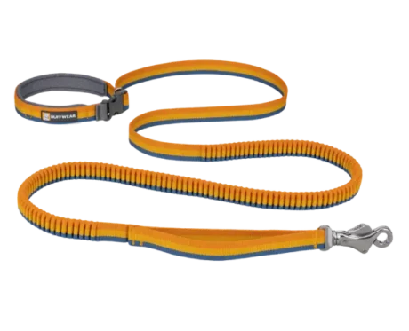 Ruffwear Roamer Bungee Leash Yellow Snow Dog Leash at ithinkpets