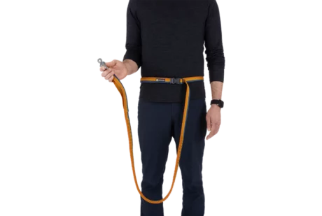 Ruffwear Roamer Bungee Leash Yellow Snow Dog Leash at ithinkpets