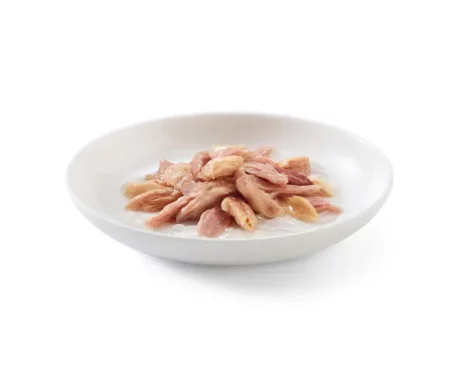 Schesir Tuna In Jelly With Salmon Adult Cat Wet Food, 85 Gms at ithinkpets.com (3) (1)